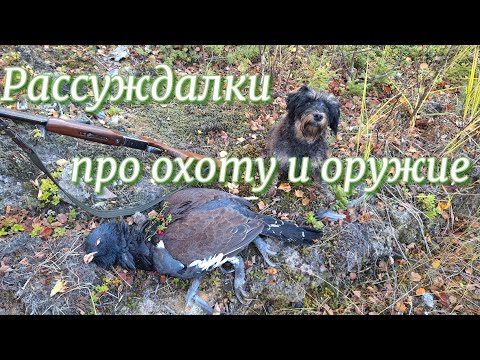 Видео: Рассуждалки про охоту и ружья.