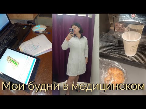 Видео: Будни в медицинском, страшный образ на Хеллоуин, учеба