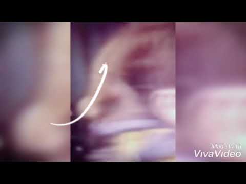 Видео: Андрей и Кира" Не много жаль