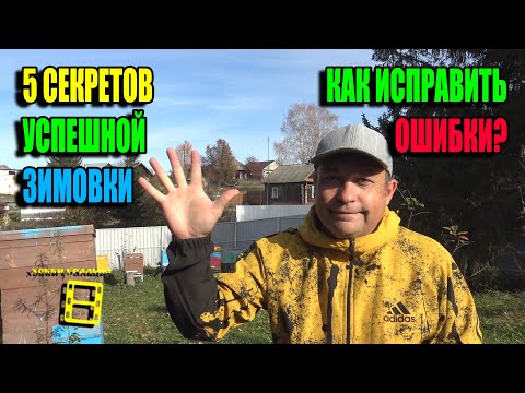 Видео: 5 СЕКРЕТОВ УСПЕШНОЙ ЗИМОВКИ ПЧЕЛ. ВЫ ДОЛЖНЫ ЗНАТЬ ОБ ЭТОМ! ДЛЯ НАЧИНАЮЩИХ ПЧЕЛОВОДОВ 24-28