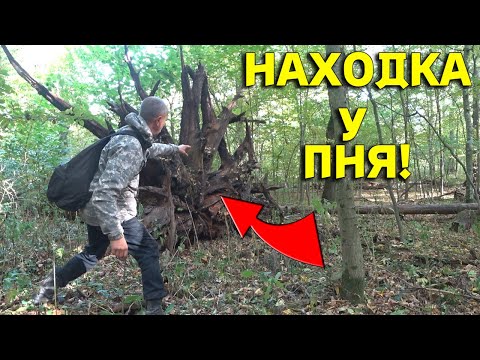 Видео: Эта НАХОДКА у Старого Пня ПОРАДОВАЛА не по Детски! Супер КОП в ЛЕСУ! В Поисках Клада от Влада!