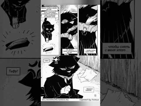 Видео: Манга-"Коты-воители": "Бич: Путь к власти". Моя озвучка :) Часть 2 