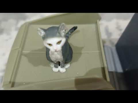 Видео: CATS HORROR STROKES КОШЕЧКИ ШТРИХИ ХОРРОР СТРАШИЛКА #cat #kitten #horror #fyp #fypシ゚viral #viral