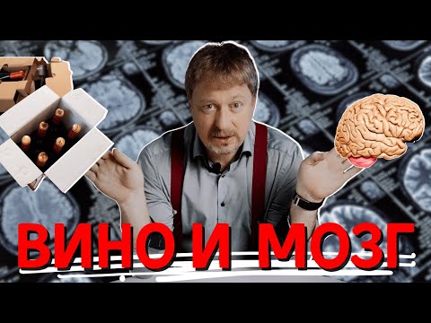 Видео: [ВИНО И МОЗГ] - что говорит наука