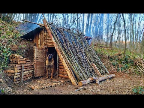 Видео: Зимний кемпинг Bushcraft: Постройте лесной приют для выживания, дикий лагерь