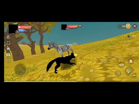 Видео: 24 октября 2025 г.