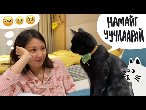 Видео: Ийм нэг 7 хоног🐈‍⬛: гөмү хэрэг тарив, гөлөгөн муужгайн мерч, шоколад урлав, Random Shits