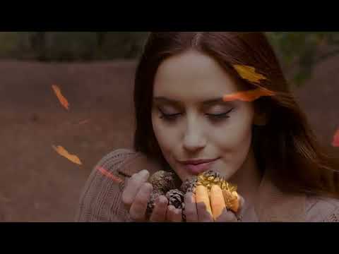 Видео: Именно в исполнении Игоря Корнилова проявляется ценность песни Николая Шипилина "После бала"