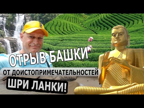 Видео: ШРИ-ЛАНКА – посетили ЗОЛОТОЙ храм! / Дамбулла, Рамбода, чайные плантации