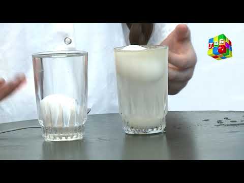 Видео: «Таҷриба» - Намак ва об