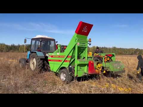 Видео: Збирання Гарбузів на Харківщині . Комбайн Simsek.
