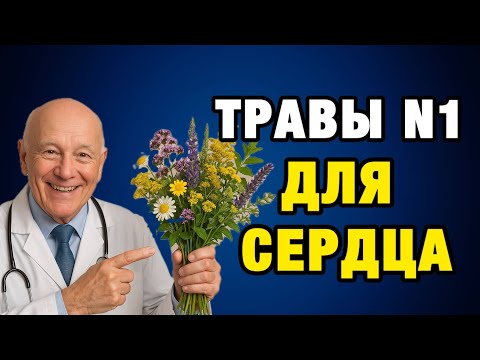 Видео: Сердце без таблеток: 7 трав, о которых молчат кардиологи