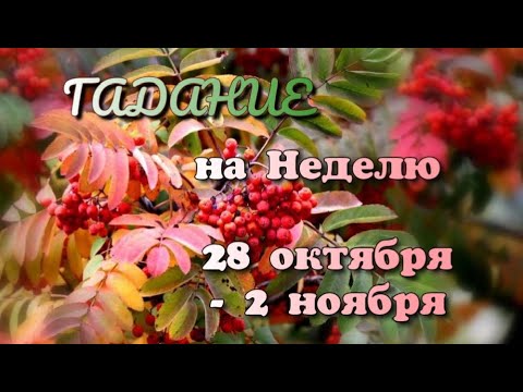 Видео: ПРОГНОЗ НА НЕДЕЛЮ ДЛЯ ВСЕХ ЗНАКОВ ♈  ♉  ♊  ♋🦁 ♍  🦂 ♎  ♐  ♑  ♒ ♓ 