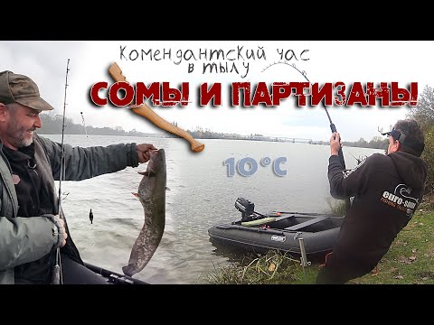 Видео: Рыбалка на СОМА на карантине. Ловля сома в холодный воде поздней осенью.