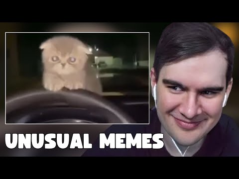 Видео: БРАТИШКИН СМОТРИТ: UNUSUAL MEMES COMPILATION V283