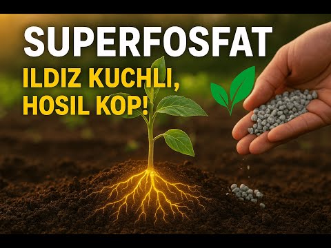 Видео: Superfosfatning O'simliklar uchun Foydalari #agromaslahat #superfosfat #agro #суперфосфат #qisloq