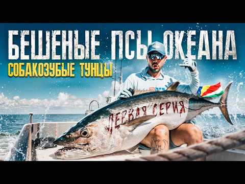 Видео: Собакозубые тунцы на Сейшелах. Рыбалка в открытом океане. TIGHT LINES