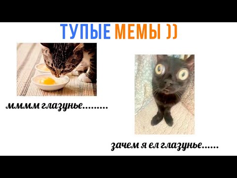 Видео: ТУПЫЕ МЕМЫ ПРО ТУПЫХ КОТОВ ))) Приколы с котами | Мемозг 1673