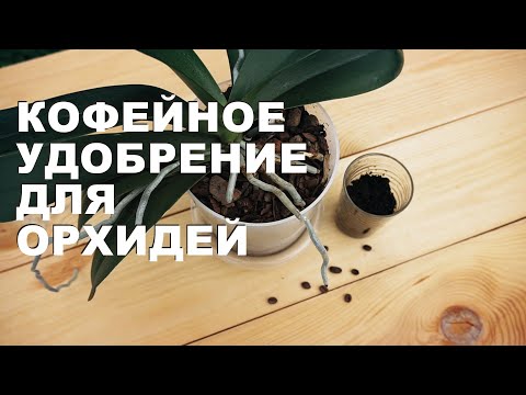 Видео: Удобрение для орхидей из кофе. Настойка из кофейной гущи для комнатных растений.