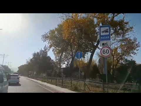 Видео: Осень в городе (Алмалык)