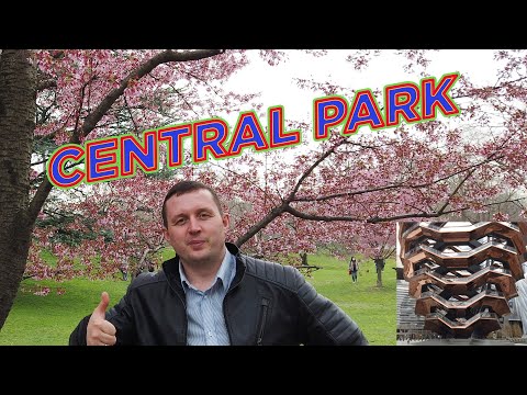 Видео: Central Park in Manhattan. New York City. The Vessel. Весна в Нью - Йорке. Прогулка по Манхеттену.