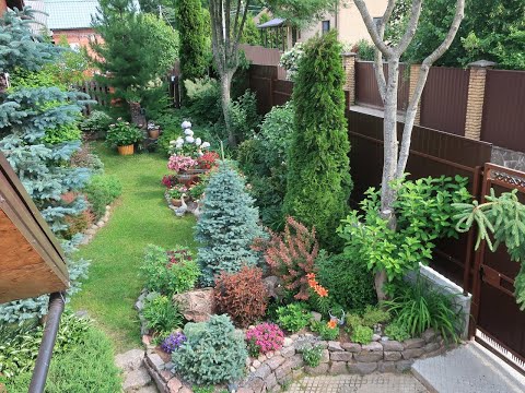 Видео: ОБЗОР САДА В ИЮЛЕ- ВХОД- часть 3-я \2023\