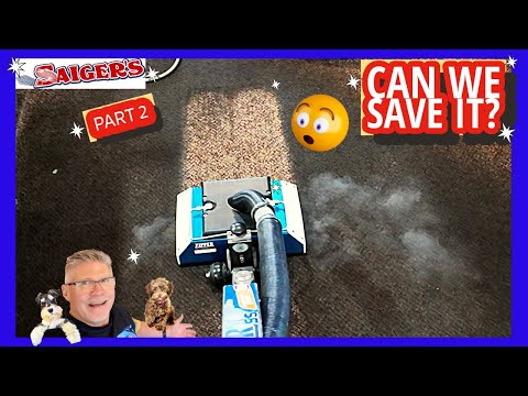 Видео: Полная катастрофа! Можно ли почистить и спасти этот двухлетний ковёр?