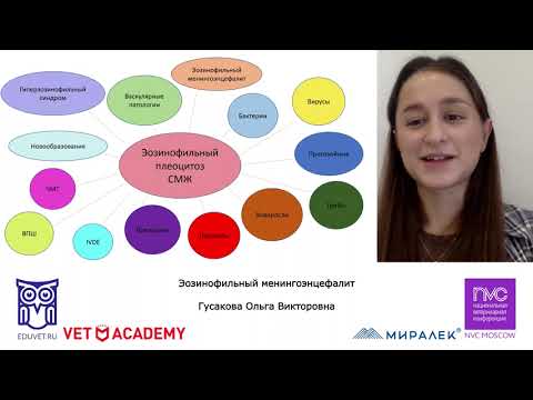 Видео: Эозинофильный менингоэнцефалит.