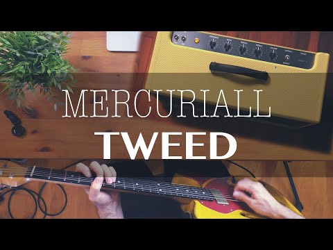 Видео: Наконец-то FENDER | Новые усилители от Mercuriall Audio Software