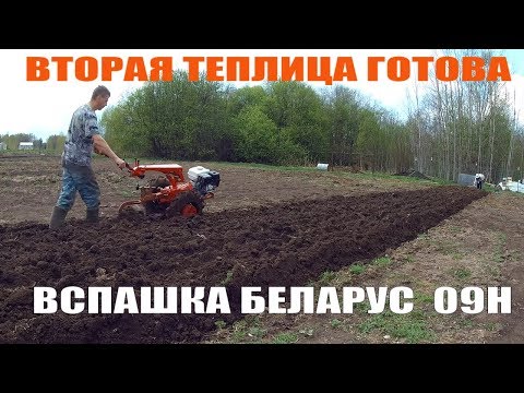 Видео: ПАШЕМ МОТОБЛОКОМ мтз БЕЛАРУС 09Н и ВТОРАЯ ТЕПЛИЦА // Жизнь в деревне