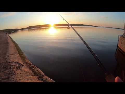 Видео: Рыбалка. Рыбалка на Травянском водохранилище !!!Попла-поппер! первые видео ! попла-поппер ловит .