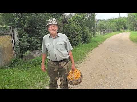 Видео: Продажа дома за 4000 долларов. Гродненская область, Слонимский район, деревня Подгорное.