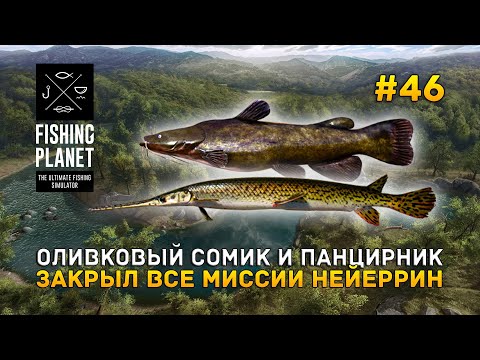 Видео: Оливковый сомик и Панцирник. Закрыл все миссии Нейеррин - Fishing Planet #46