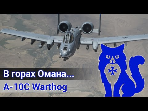Видео: A-10C Warthog - В горах Омана... (DCS World Stream) | WaffenCat