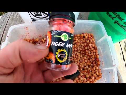 Видео: Карасевый рай на тесто ХЕРАБУНА ,POP UP и макуха ловит карпа,база Белуга р.Днестр 27 августа 2023 г.