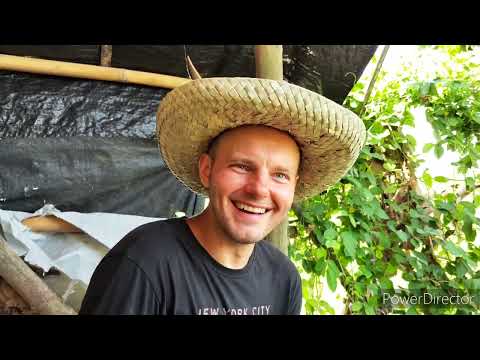 Видео: Филиппины..фермерство..комбайн в работе..рассказ туриста