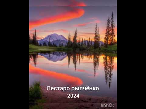 Видео: лестаро рыпчёнко  прости меня отец 2024год