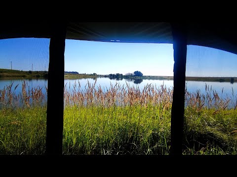 Видео: В поисках Толстолобика!  Рыбалка с ночевкой.