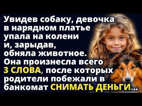 Видео: Девочка в нарядном платье упала на колени и, зарыдав, сказала всего 3 слова Любовные истории Рассказ