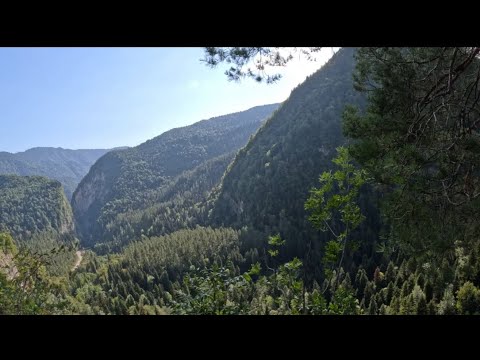 Видео: АБХАЗИЯ-ДОРОГА СПУСК В УЩЕЛЬЕ-РЕСТОРАН СО СТЕКЛЯННЫМ ДНОМ 
