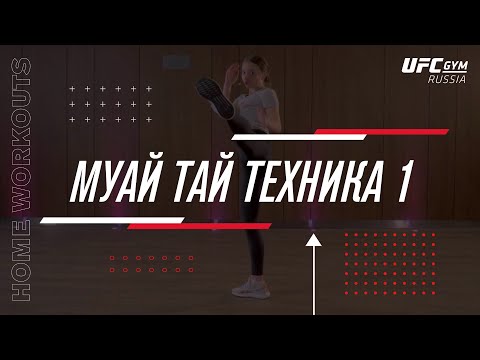 Видео: UFC GYM | Муай Тай техника 1