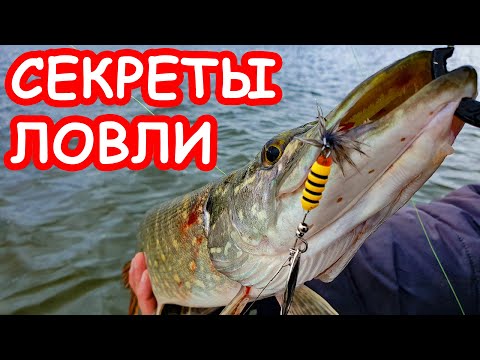 Видео: Секреты ловли пассивной щуки. Приманки на щуку. Рыбалка на щуку