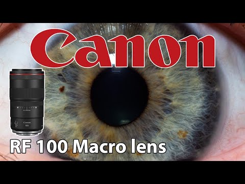 Видео: Canon RF 100 Macro • Открытие и тестирование с Raynox DCR 250 и удлинительными кольцами