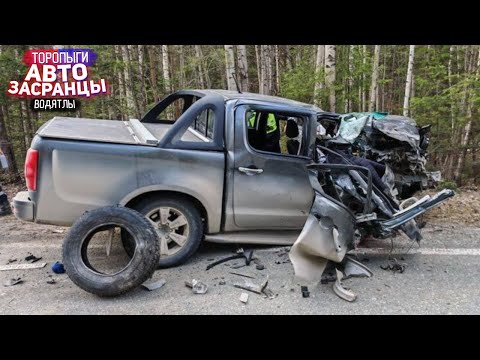 Видео: Киса, он специально! Сентябрянутые Торопыги и Водятлы ДТП