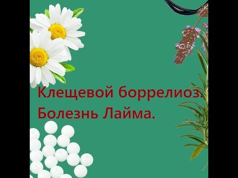 Видео: Клещевой боррелиоз. Болезнь Лайма