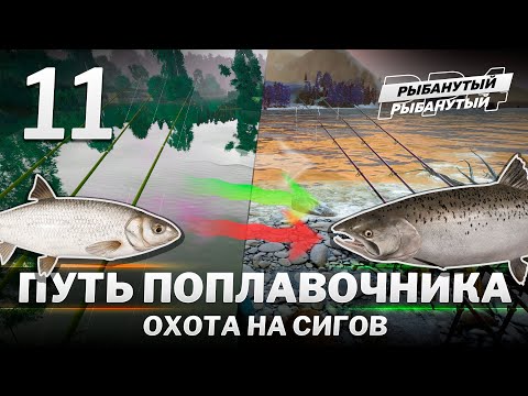 Видео: ПУТЬ ПОПЛАВОЧНИКА - Охота на СИГОВ. 11 серия. Русская Рыбалка 4