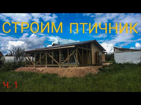 Видео: Летний Птичник 2023 (часть 1)