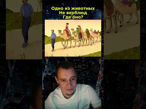 Видео: Какой ваш ответ? Тгк в профиле #головоломки #витусс #задачи