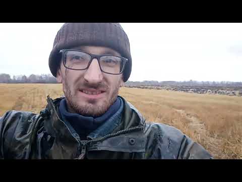 Видео: К 701 пашет зябь по снегу. Бесконечные поломки! №40