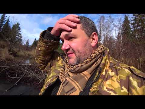 Видео: №11 Минералы. Lets go за самоцветами! Сердолики, агаты, яшма и бобер-эстет!